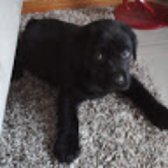 Meet your Posher, Kasey - Picture 1 of 1